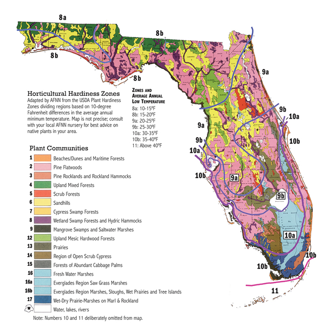 Florida Swamps Map