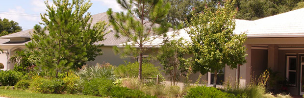 Plant Real Florida Bring Your, Landscaping Pinellas County