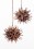 Sweetgum See Balls