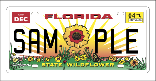 This article was originally published in the 2011 Guide for Real Florida Gardeners, sponsored by the Florida Wildflower Foundation. The Foundation is funded in large part by sales of the Florida wildflower license plate, and is the only significant consistent source of funding for native plant education, planting and research.