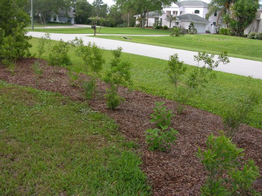 This planting bed terrified an HOA. Why? Because too many of us are sold on turf as the only acceptable landscape aesthetic. Photo by S.D.