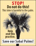 sabal_palm_STOPsmallgrafx