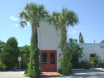 Sabal palms in full booted glory, with vines running up them, frame the entry at The Studio on Anna Maria Island. Landscape design by Michael Miller of Perfect Environs.