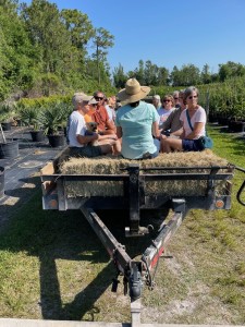 View of haybale group from tractor